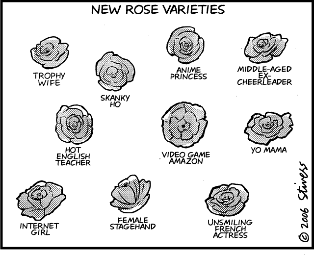 Roses